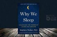 WHY WE SLEEP UNLOCKING THE POWER OF SLEEP AND DREAMS